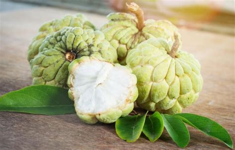 Benepisyo ng Atis sa Kalusugan: Alamin Dito Ang mga Ito.